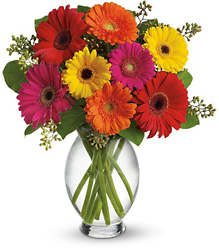 Gerbera Brights from Martinsville Florist, flower shop in Martinsville, NJ